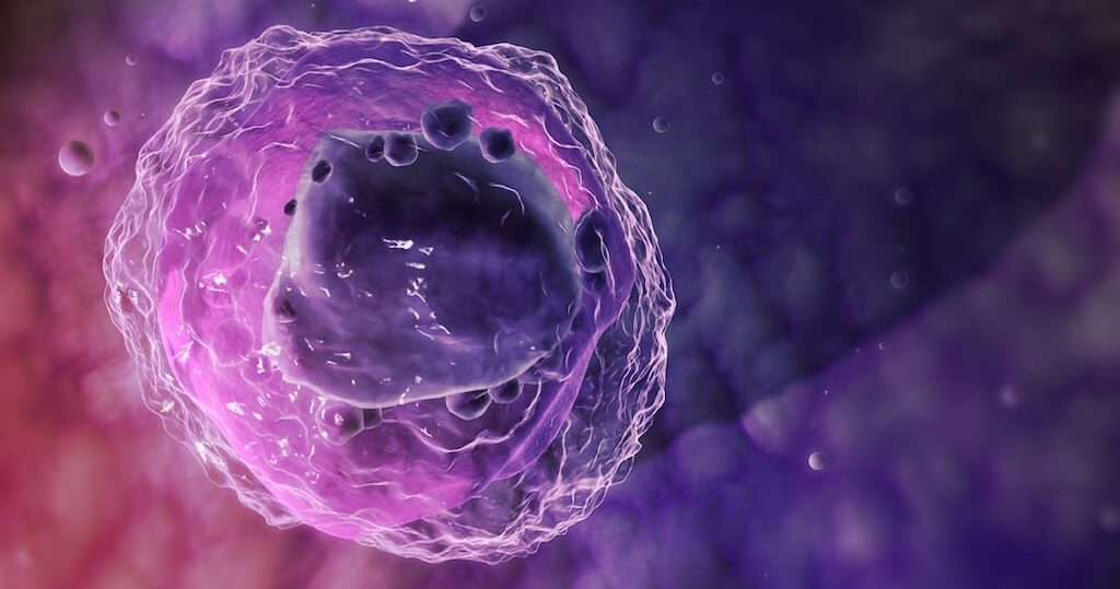 Лимфоциты повышены: причины и что с этим делать